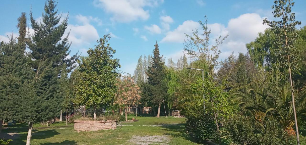 Campestre De 1 Ambiente En Apartamento *