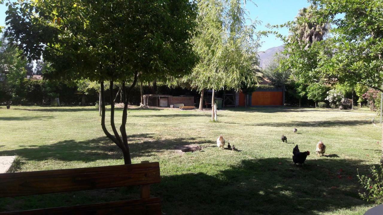 Campestre De 1 Ambiente En *